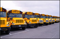 School Bus