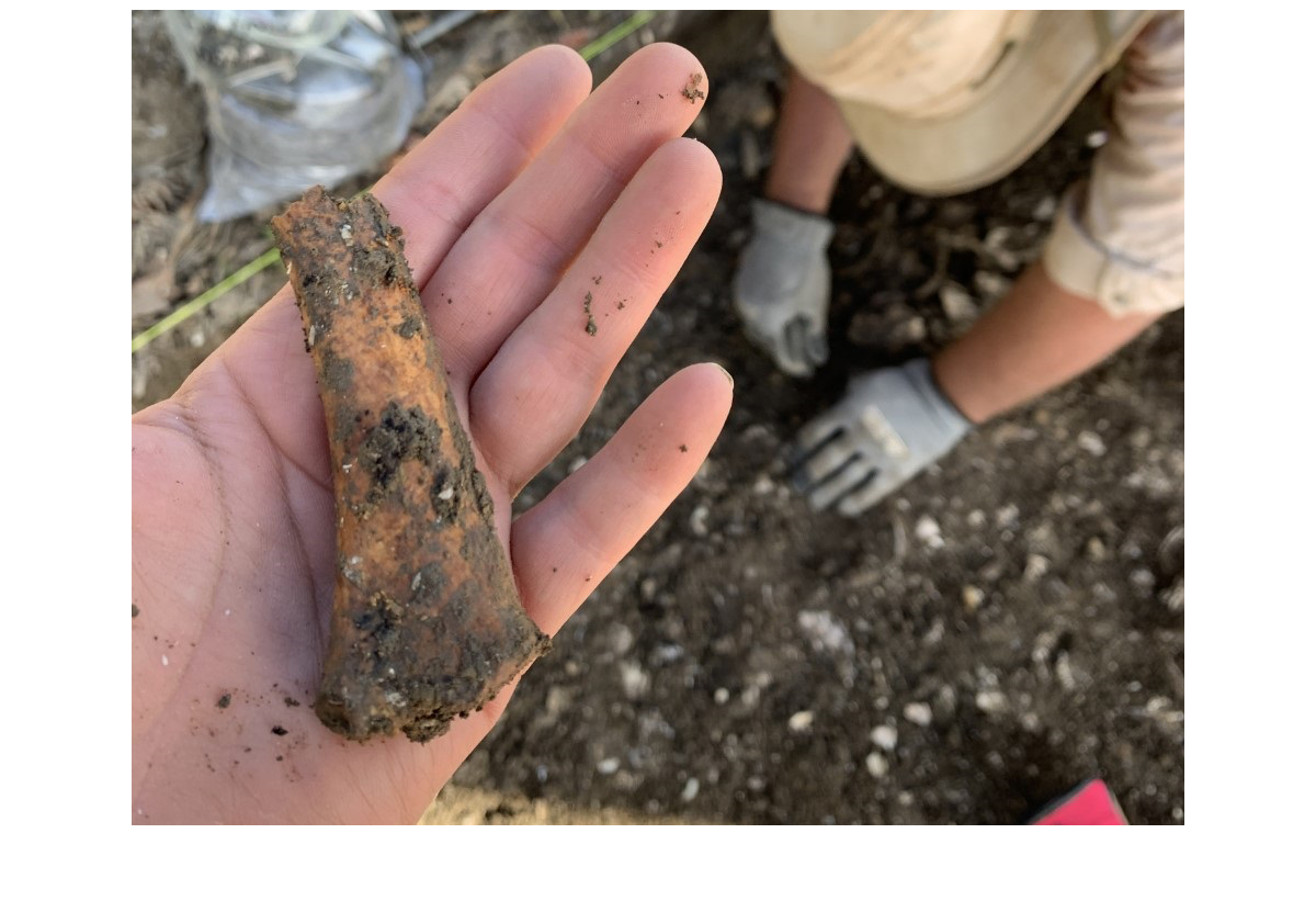 Artifact at slave quarters in St. Mary