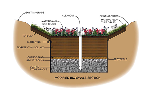 Bio-swale Section