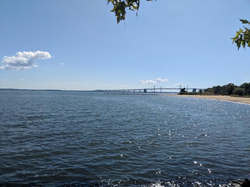 Chesapeake Bay, 2020