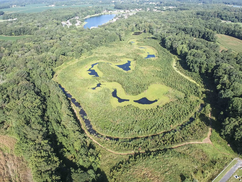 Lizard Hill wetland creation site in Worcester County