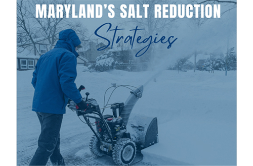 Salt reduction strategies