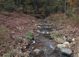 MD 210 stream after restoration