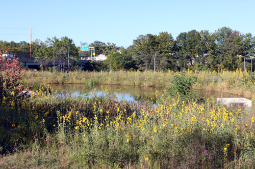 Wet Pond at MD 147 and I-695 in Baltimore County