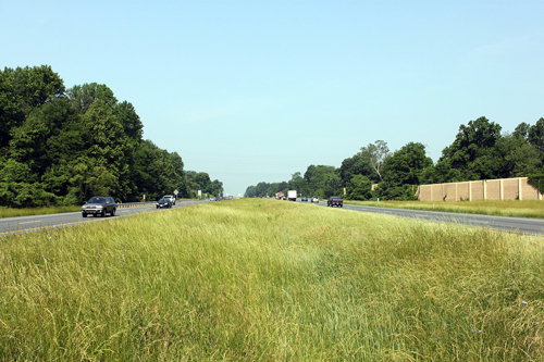 Grass Swale