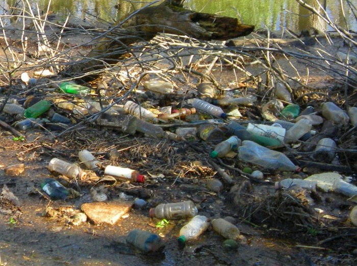 Litter like this can be carried by rain into storm drains, streams, bays and rivers