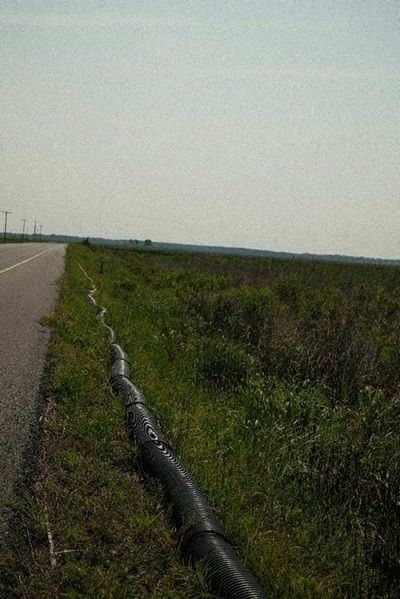 terrapin crossing fence