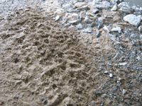 Wildlife tracks going through underpasses