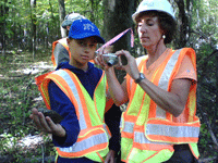 Professional biologists worked with volunteers and
students to collect data on relocated turtles
